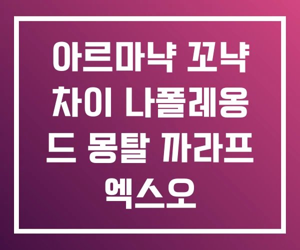 아르마냑 꼬냑 차이 나폴레옹 드 몽탈 까라프 엑스오 아르마냑 꼬냑 차이 나폴레옹 드 몽탈 까라프 엑스오