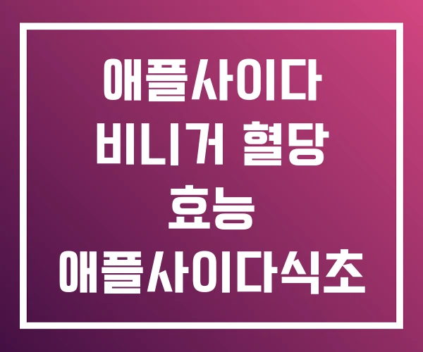 애플사이다 비니거 혈당 효능 애플사이다식초