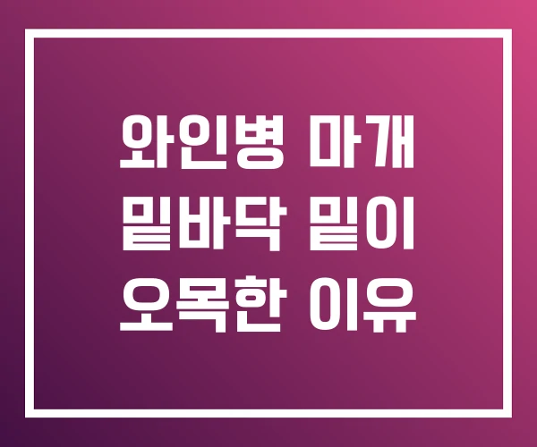 와인병 마개 밑바닥 밑이 오목한 이유 와인병 마개 밑바닥 밑이 오목한 이유