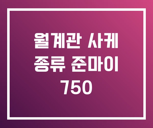 월계관 사케 종류 준마이 750 월계관 사케 종류 준마이 750
