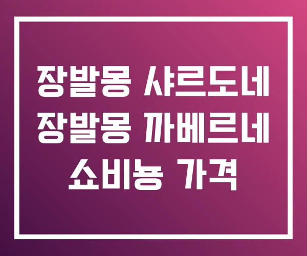 장발몽 샤르도네 장발몽 까베르네 쇼비뇽 가격 장발몽 샤르도네 장발몽 까베르네 쇼비뇽 가격