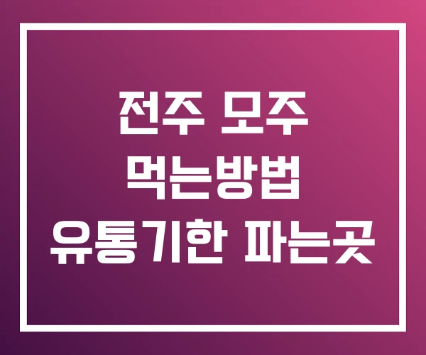 전주 모주 먹는방법 유통기한 파는곳 전주 모주 먹는방법 유통기한 파는곳