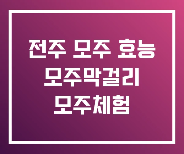전주 모주 효능 모주막걸리 모주체험 전주 모주 효능 모주막걸리 모주체험