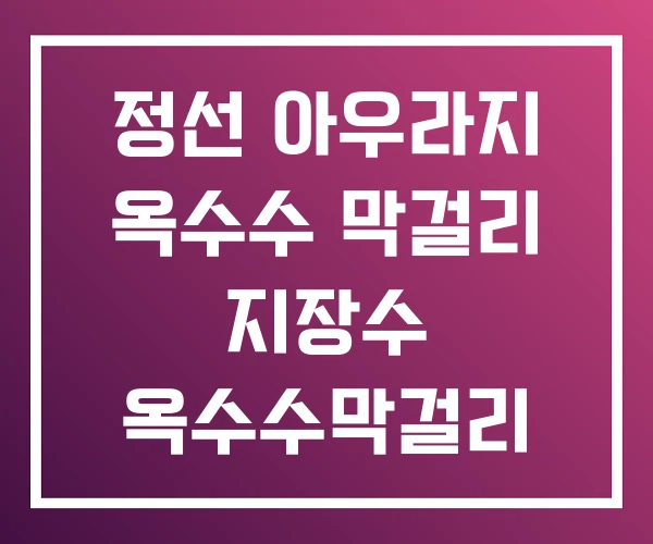 정선 아우라지 옥수수 막걸리 지장수 옥수수막걸리 정선 아우라지 옥수수 막걸리 지장수 옥수수막걸리