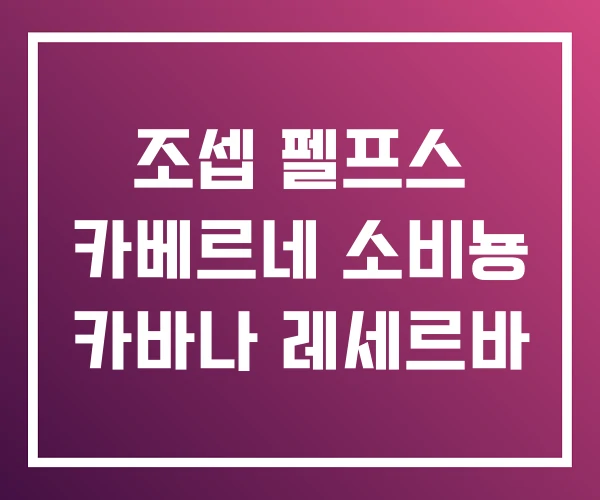 조셉 펠프스 카베르네 소비뇽 카바나 레세르바