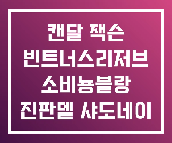 캔달 잭슨 빈트너스리저브 소비뇽블랑 진판델 샤도네이