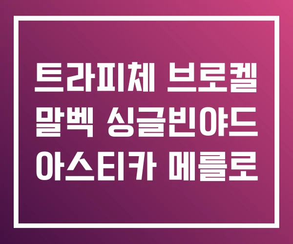 트라피체 브로켈 말벡 싱글빈야드 아스티카 메를로 트라피체 브로켈 말벡 싱글빈야드 아스티카 메를로