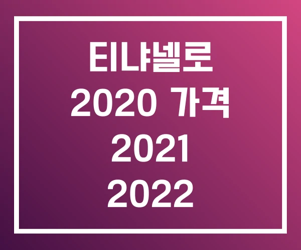 티냐넬로 2020 가격 2021 2022 티냐넬로 2020 가격 2021 2022