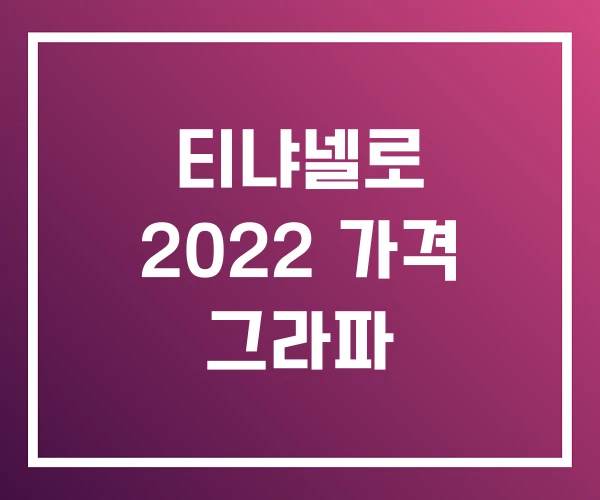 티냐넬로 2022 가격 그라파