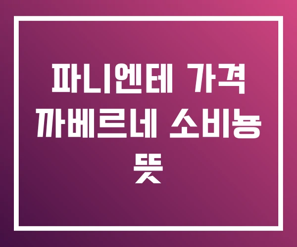 파니엔테 가격 까베르네 소비뇽 뜻 파니엔테 가격 까베르네 소비뇽 뜻