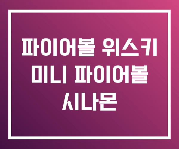 파이어볼 위스키 미니 파이어볼 시나몬 파이어볼 위스키 미니 파이어볼 시나몬