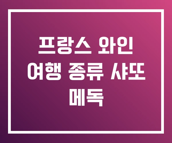 프랑스 와인 여행 종류 샤또 메독 프랑스 와인 여행 종류 샤또 메독