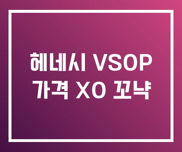 헤네시 VSOP 가격 XO 꼬냑 헤네시 VSOP 가격 XO 꼬냑