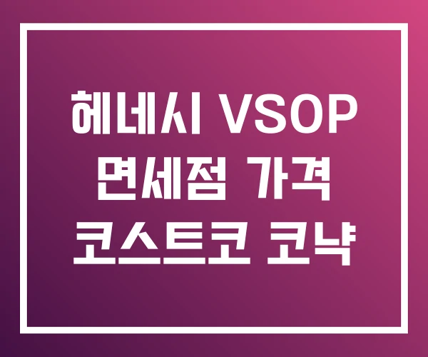 헤네시 VSOP 면세점 가격 코스트코 코냑 헤네시 VSOP 면세점 가격 코스트코 코냑